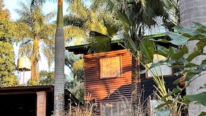 A rustic cabin with a wooden exterior, surrounded by lush greenery and palm trees.