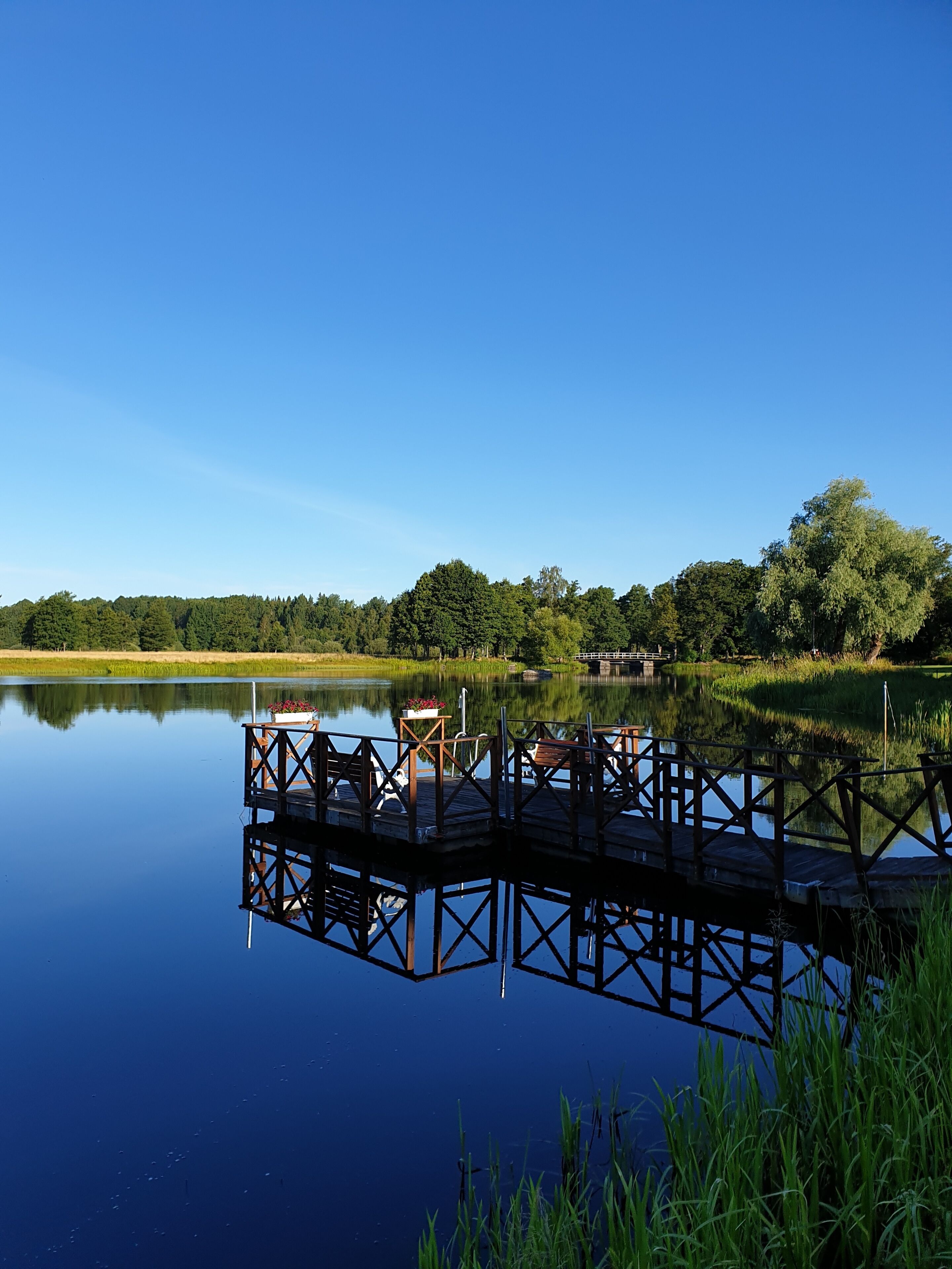 A calm lake with a wooden dock extending into the water, surrounded by lush greenery and trees.