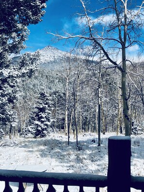 Property grounds - Peak View Log Home (Divide)