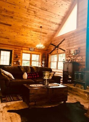 智能电视、壁炉