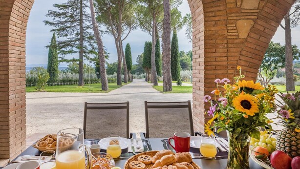 Une table de petit-déjeuner dressée avec des viennoiseries, des fruits et des boissons, donnant sur un chemin bordé d’arbres.