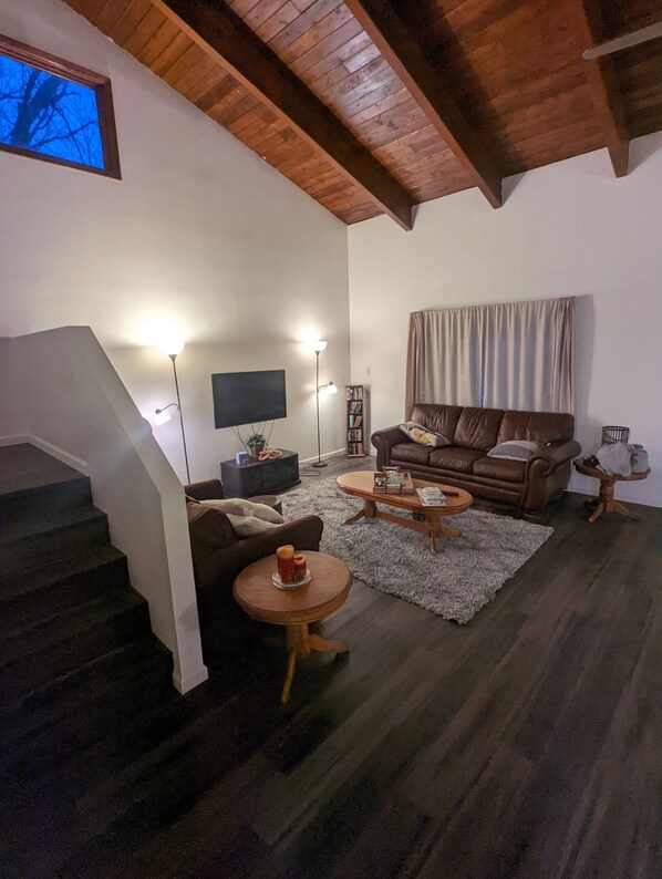 Smart TV, fireplace, DVD player, books