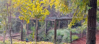 Newly built home on 9 acres with deck & aviary - close to town & great wineries