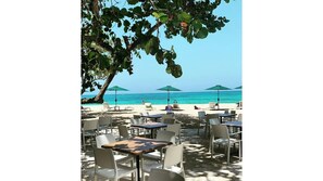 Espace extérieur aménagé avec des tables et des chaises, des parasols et une vue sur la plage et l’océan.
