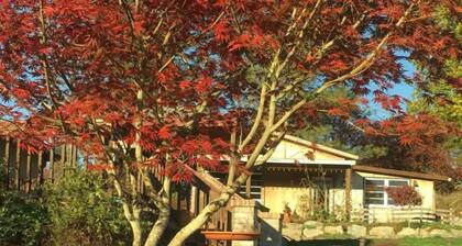 Amazing Farm Stay: Comfortable & Private Room!