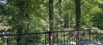 Mountain Cabin in the Woods, Near Wineries & More!
