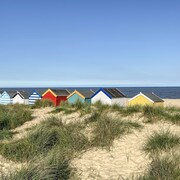 Sea Mouse Cottage
