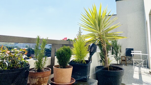 A rooftop garden with various potted plants and a white chair. - Bright, young private room (Saint-Denis)