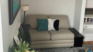 智能电视、书、音乐库