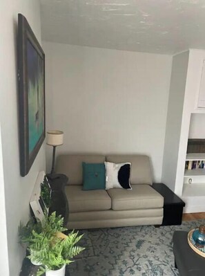 Smart-TV, Bücher, Musikbibliothek