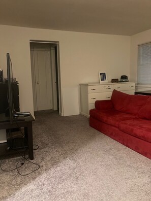 Living area - Springfield apartment 5 min to NYC bus (Springfield)