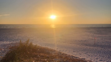 Camastros y toallas de playa