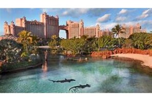 Experience the hotel's unique blend of modern and classical architecture, surrounded by lush greenery and a spacious pool area.