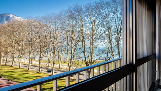 Blick aus einem Fenster auf einen Park mit Bäumen und einem entfernten Berg.
