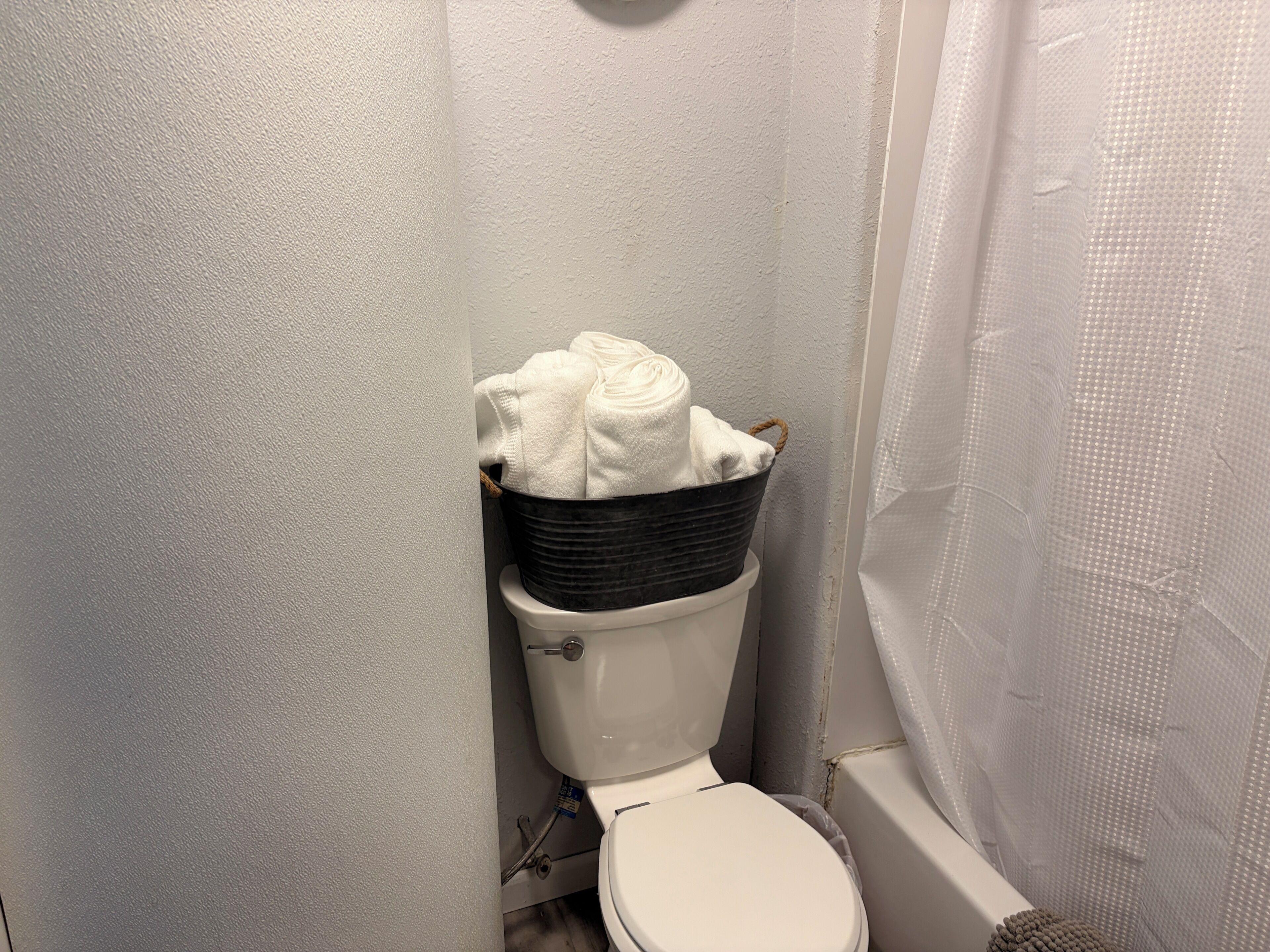 A bathroom with a toilet, a black bucket, and a shower curtain.