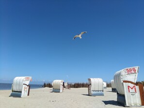 På stranden