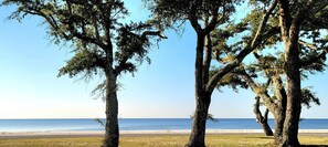 Beach - Amazing Beach Cottage (Pass Christian)