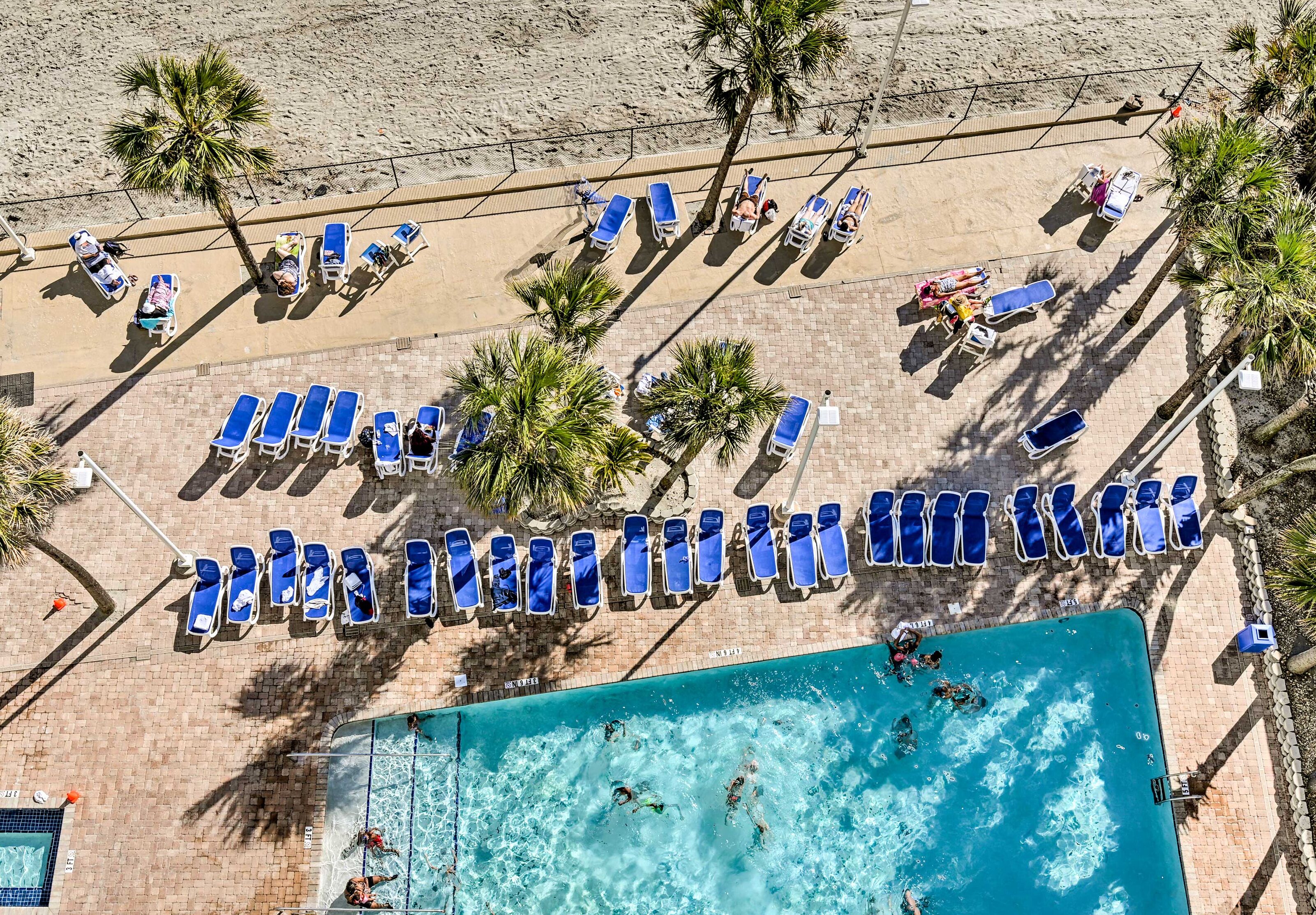An aerial view of a beach with rows of blue lounge chairs and a swimming pool.