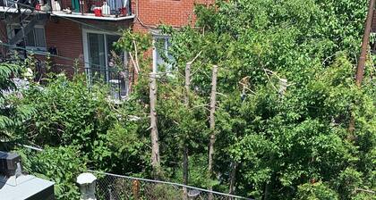 Home Away From Home 2 Beds-1Bath/Terrace /Balcony @ Plateau Mont Royal