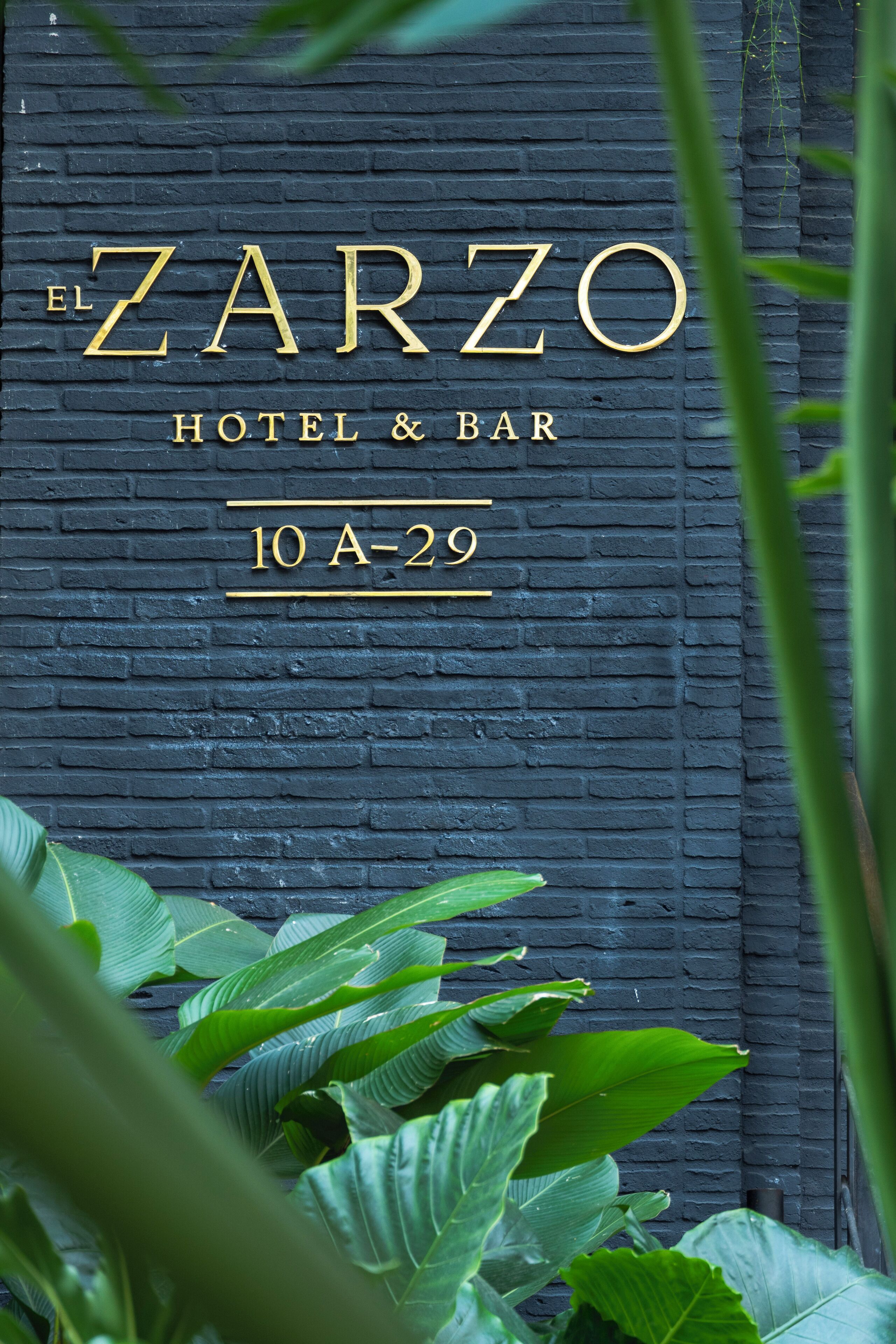 Foto - Hotel El Zarzo