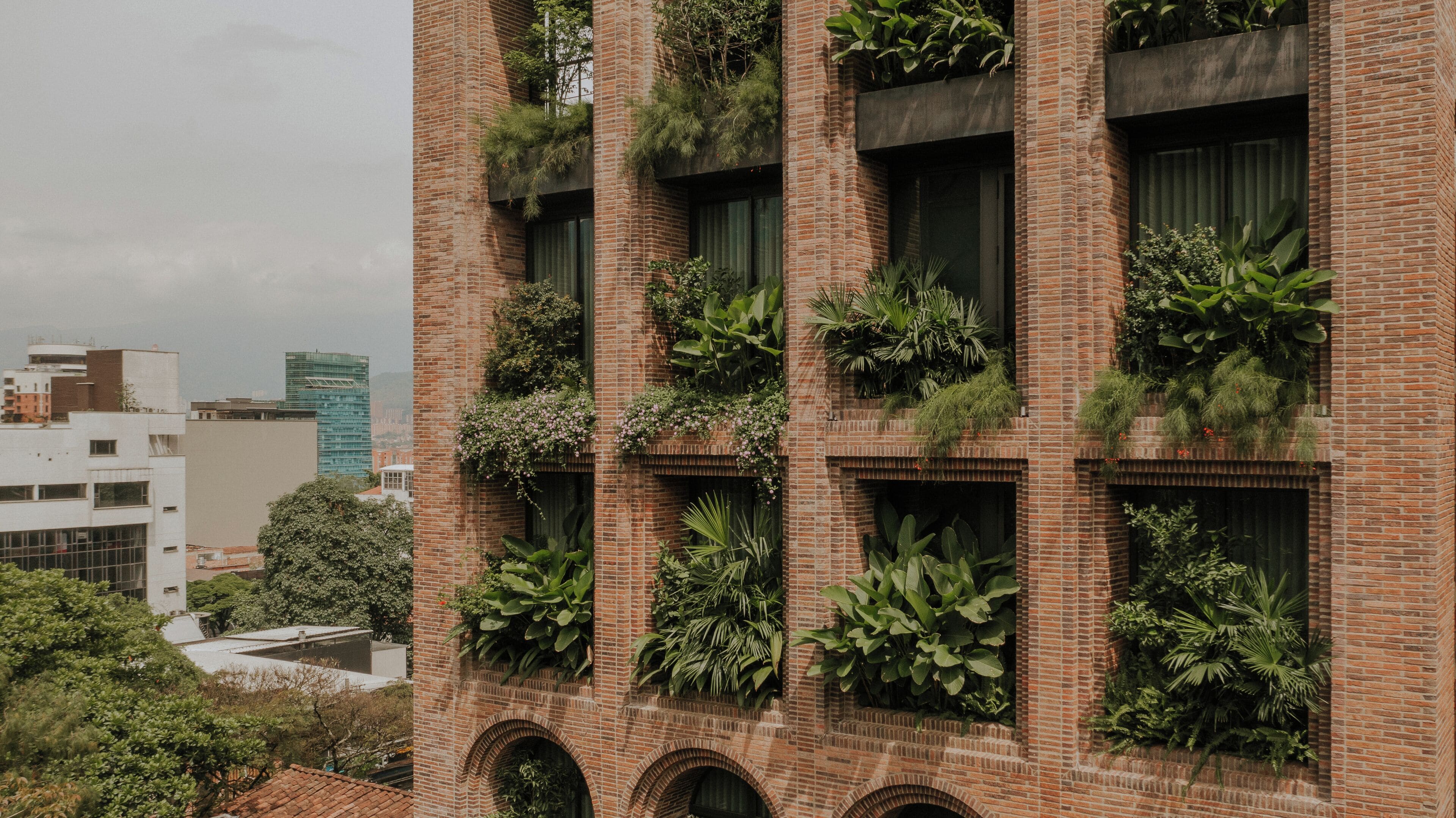 Photo - Hotel El Zarzo