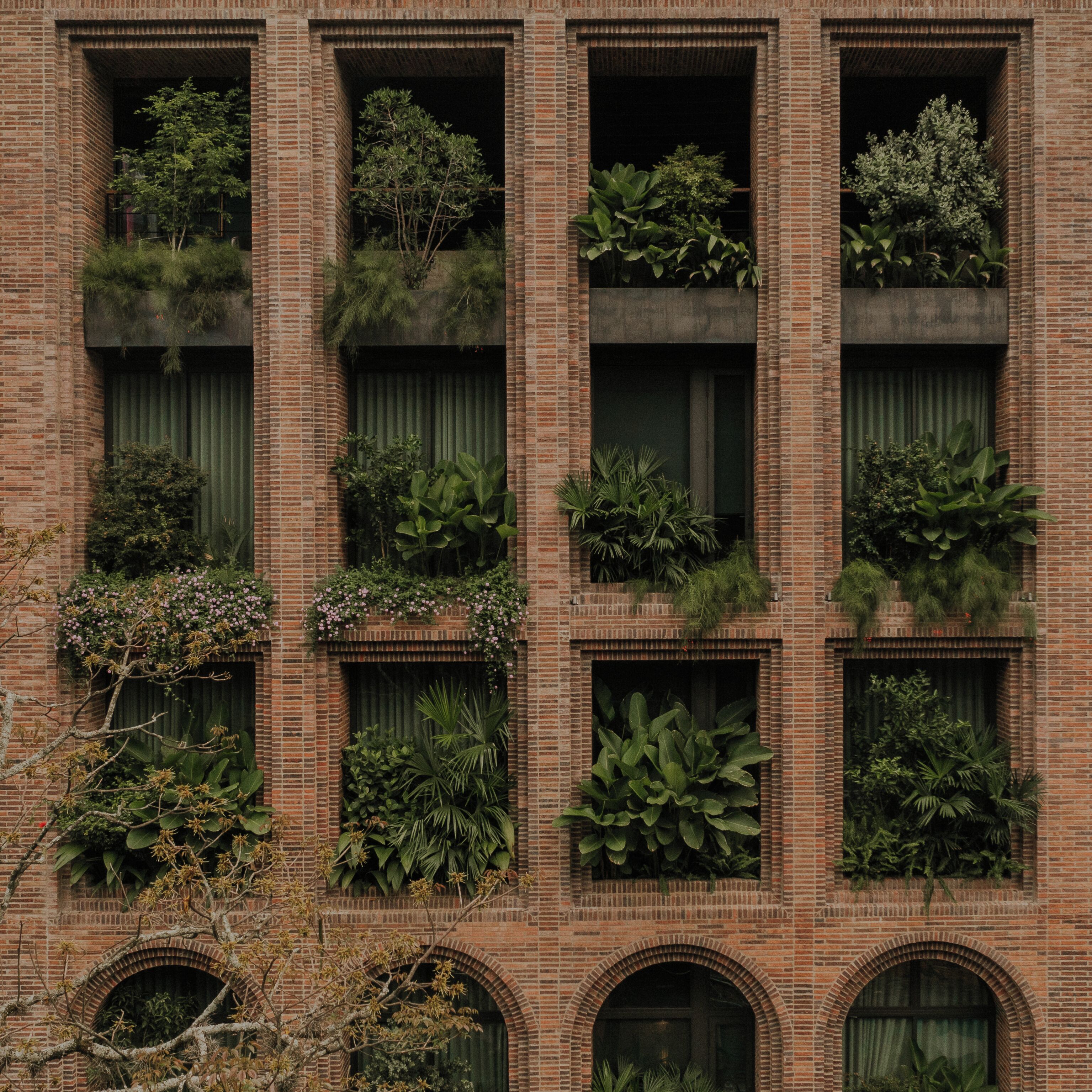 Photo - Hotel El Zarzo