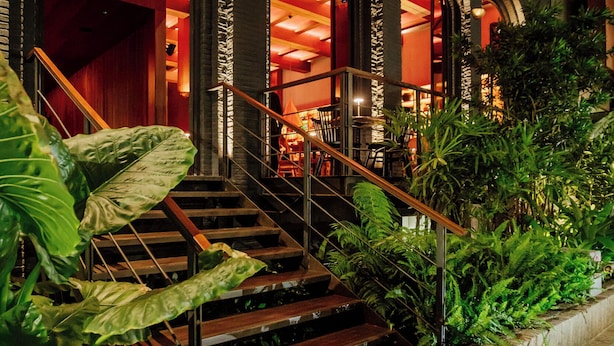 A staircase with wooden steps and metal railings, surrounded by lush green plants and a brick wall.