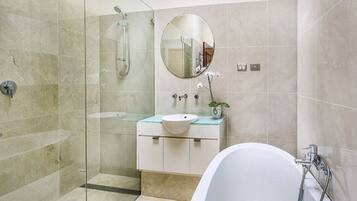 Shower, hair dryer, towels, soap