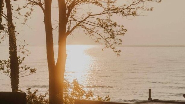 Ein ruhiger Sitzbereich im Freien mit Blick auf das Meer, einen Baum und einen Kiesweg.
