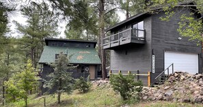 Une maison de campagne moderne à deux étages, dotée d’un toit végétalisé, d’un balcon et d’un garage.