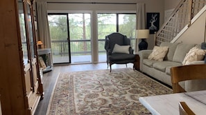 Smart TV, fireplace, books, computer monitors