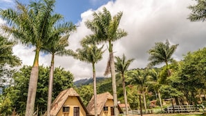 A rural setting with traditional thatched-roof houses surrounded by palm trees and lush greenery. - VILLA DAS PALMEIRAS Empório & Chalés (São Bento do Sapucaí)