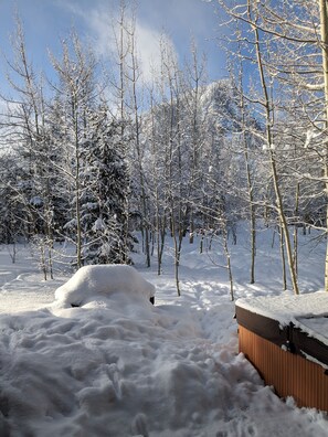 Escape to a serene winter wonderland with a snow-covered deck and scenic views of the surrounding trees.