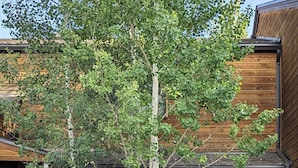 A wooden cabin with a large tree in front, a glass door, and a visible 'C' on the door. - Modern Mountain Retreat in Frisco: Hot Tub, Fireplace, Views, Near Everything! (Frisco)