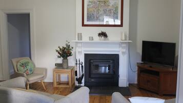 Smart TV, fireplace, books