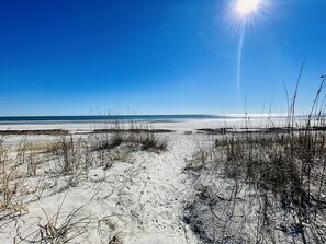 A beach with sand dunes and sparse vegetation.