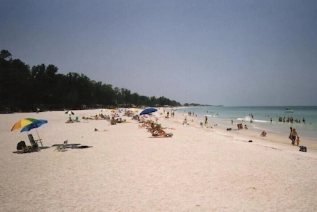 A beach with people sunbathing and swimming, umbrellas, and beach chairs.