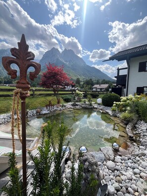 Un jardín tranquilo con un estanque, rodeado de rocas y plantas, con una montaña al fondo.