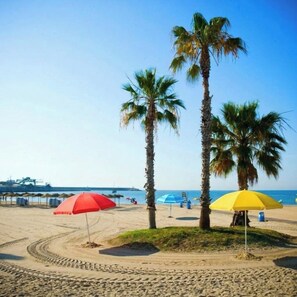 Ein sandiger Strand mit Palmen und Strandsonnenschirmen.