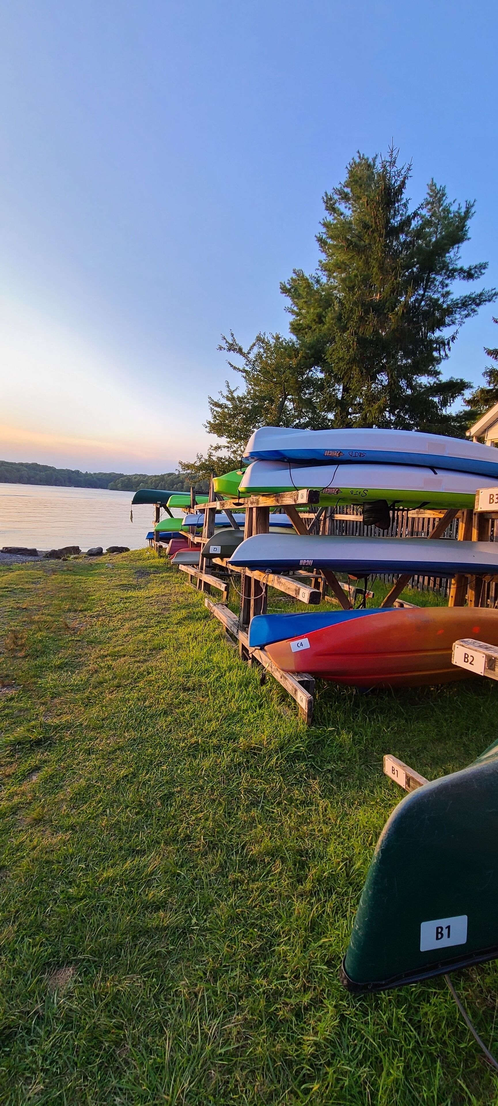 A row of canoes parked on a grassy area by a lake, with a tree and a building in the background.