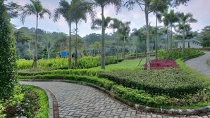 Un jardí paisatjístic amb un camí corbat, palmeres i un edifici petit al fons.