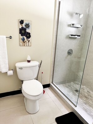 A bathroom with a toilet, a shower, and a glass-enclosed shower stall.