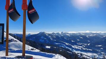 A snowy mountain landscape with a clear sky and two ski poles with 'SkiWell' branding.