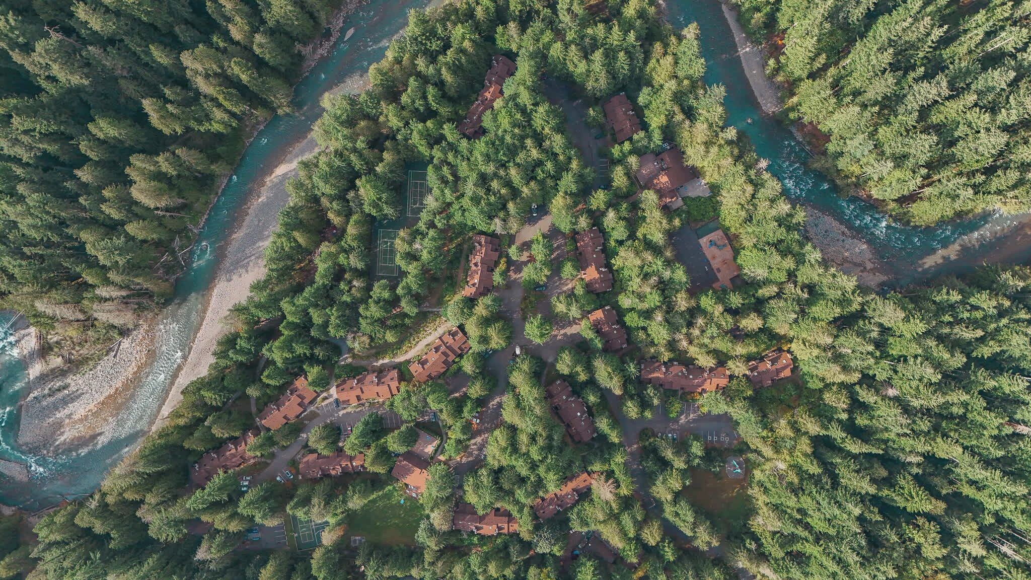 An aerial view of a residential area with houses surrounded by dense forest and a river.