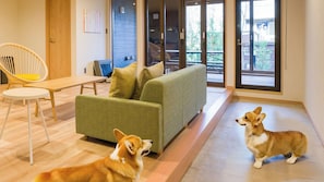 Un salon moderne avec un canapé, une table à manger et deux chiens.