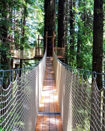 施設の敷地. Cozy country retreat 5 minutes from the beach and redwoods.