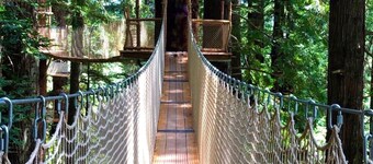 Cozy country retreat 5 minutes from the beach and redwoods.