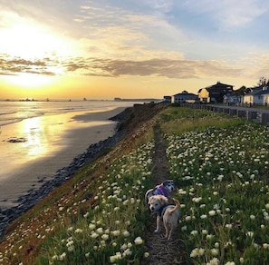 Beach nearby