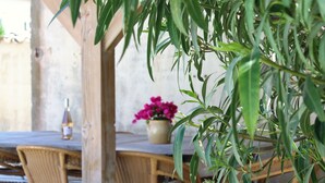 Un área de comedor al aire libre con sillas de mimbre y una mesa, una botella de vino y un jarrón con flores rosadas.