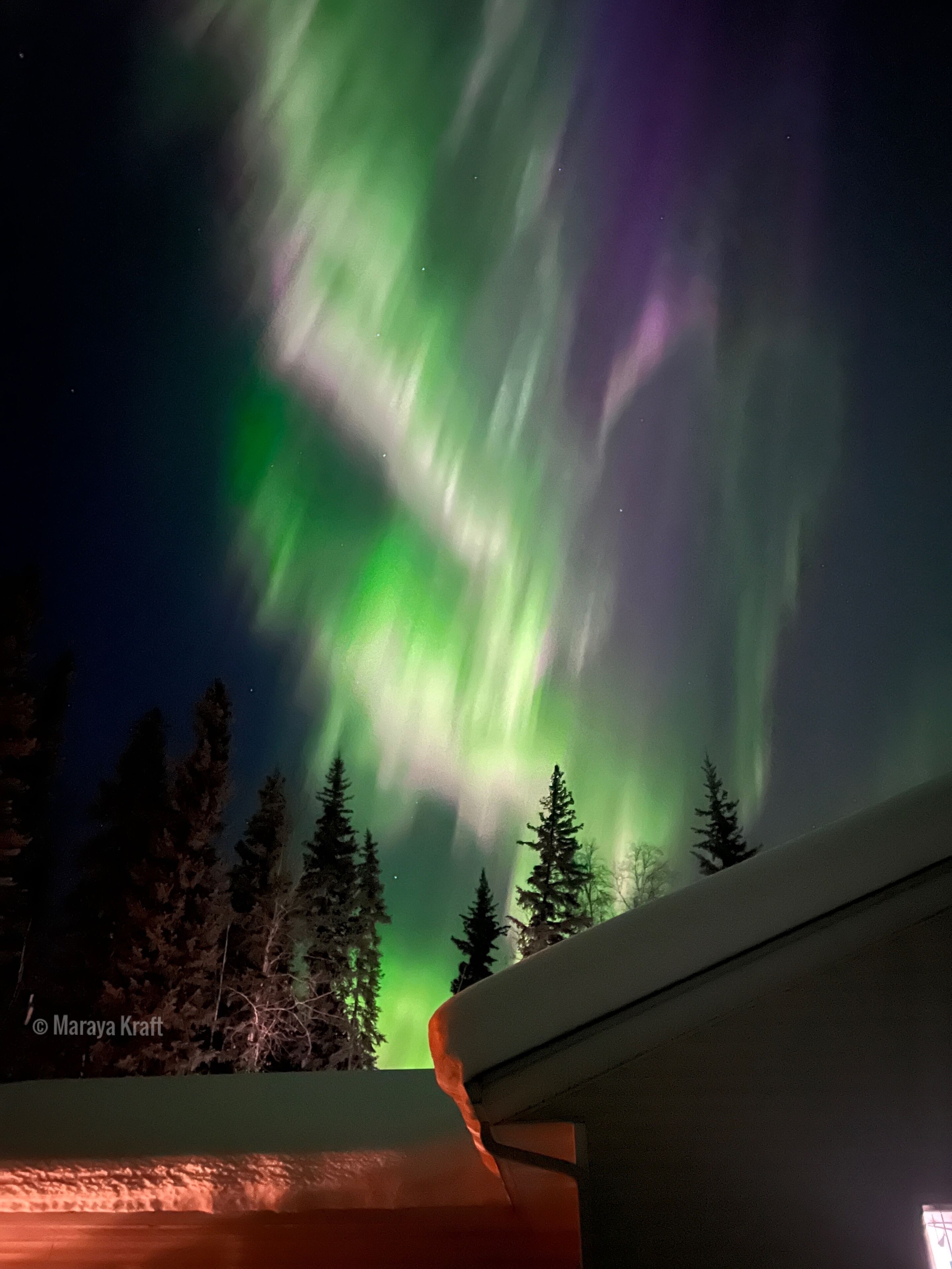 A view of the Northern Lights over a snowy landscape with trees in the foreground.